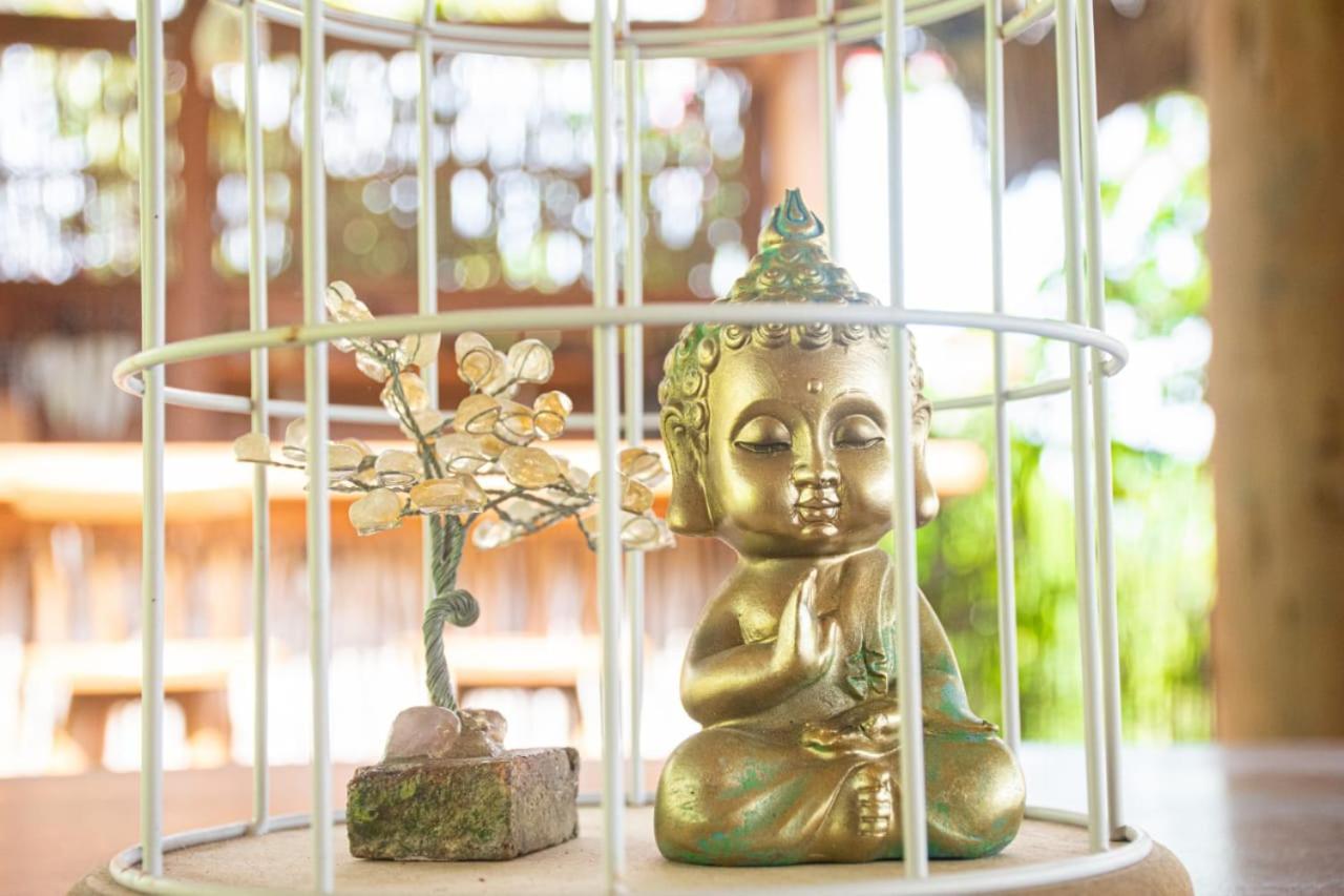 Pousada Villa Del Lotus อิตาเรมา ภายนอก รูปภาพ